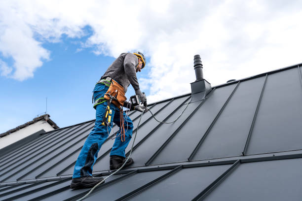 Best Skylight Installation and Repair  in Bellwood, PA